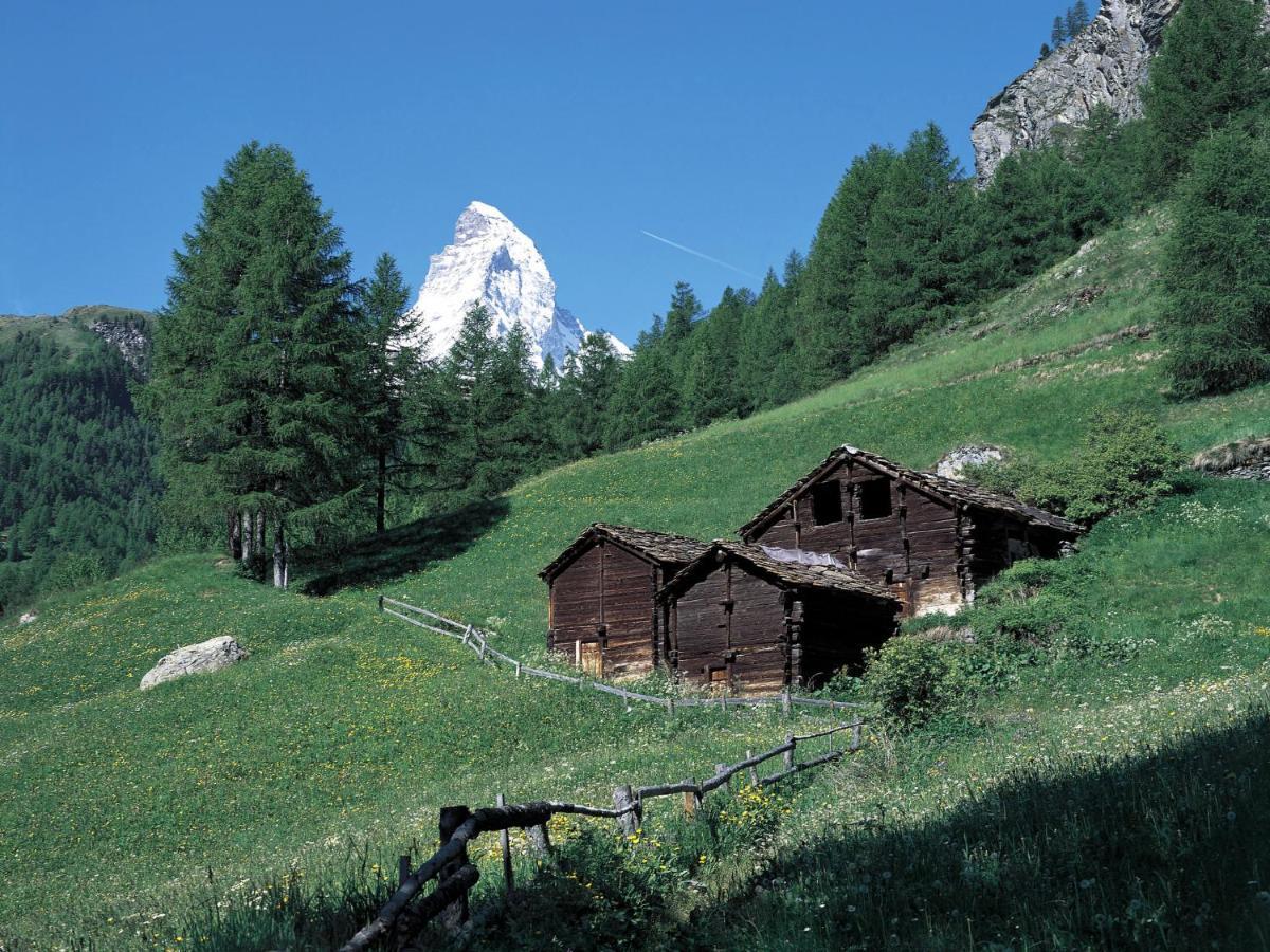 Apartment Oasis By Interhome Zermatt Kültér fotó