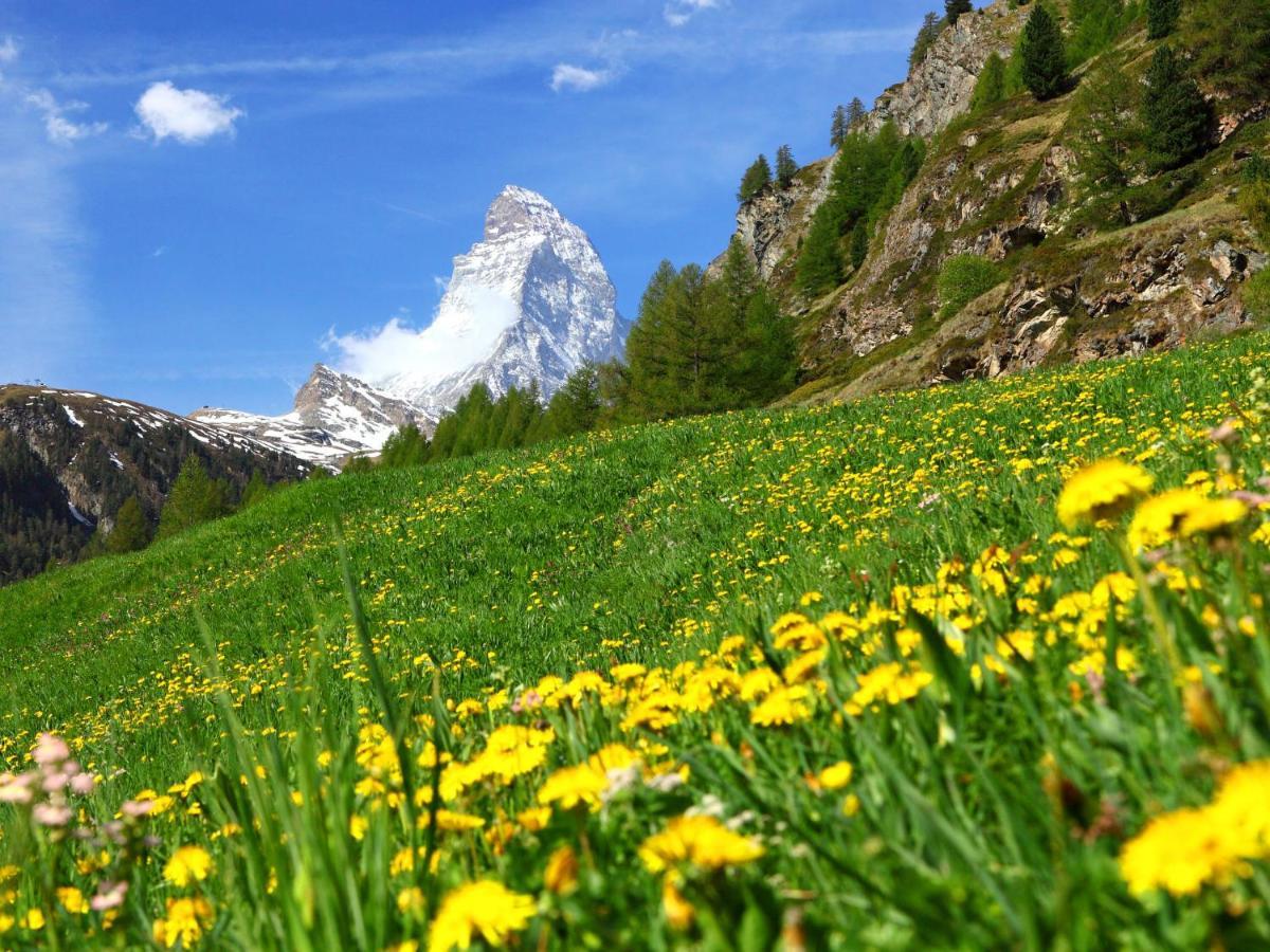 Apartment Oasis By Interhome Zermatt Kültér fotó